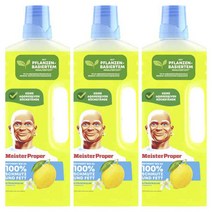 Meister Proper 다목적 클리너 세정제 시트러스 Allzweckreiniger Citrusfrische 1000Ml 3개