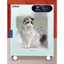 펫드라이룸 애견 건조 건조기 가정용 털말리기, 중형 X5 민트