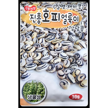 호피얼룩이 강낭콩씨앗30g 일명:제비콩 넝쿨성
