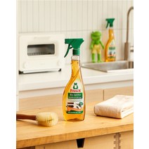 프로쉬 오렌지 가전/가구클리너 500ml, 오렌지 가전가구 표면클리너500ml