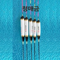 풍월주 나노찌 청매금 민물낚시찌, 청매금_4호