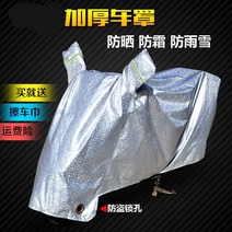방수 전동 비막이커버 사계절 전차 차량 덮개 차양 이천 자전거커버, T02-M, C07-블루줄