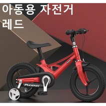 Dream패션 어린이 네발 자전거 아동용 자전거 SYKB100, 16인치, 레드