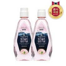 LG 생활건강 죽염 히말라야 핑크솔트 가글 아이스 760ml X 2개, 1세트