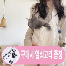 강아지 슬링백 고양이 애견 포대기 가방 이동가방 반려동물 산책가방, S