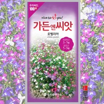 로벨리아 씨앗 100립 / 숙잔대 일년생 야생화 꽃 봄 꽃씨 몰 종자