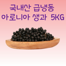 생아로니아 냉동 아로니아 생과 열매 블랙초코베리 5kg