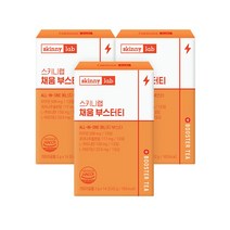 스키니랩 건강한 에너지 채움 부스터티 14포(2주분), 3박스