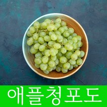 아삭아삭 씨없는포도 아이들도 반한 애플청포도 꿀포도 1kg 내외, 3개