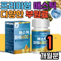 그리스 매스틱 위건강 하이 메스틱 정 타블렛형 감초 프락토올리고당 회화나무열매 히알루론산 알로에베라겔 동결 건조 분말 치커리 아라비아검 매스딕 마스틱 마스텍 매소틱 메소틱 검 껌 마스티검 매스틱검 1박스