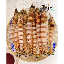 제주직송 오도리 보리새우 큰사이즈 횟감 500g 오도리회 딱새우본사 제주한림수산 제한선, 1개