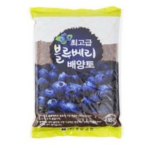 화분월드 정한 블루베리 배양토 35L, 2개
