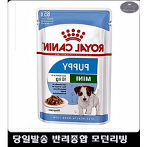 효과 소형견 사료 면연력 기능 유지 푸들사료추천 애견사료순위 3개월강아지사료추천