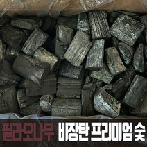 필라오 비장탄 M, 10kg, 1개