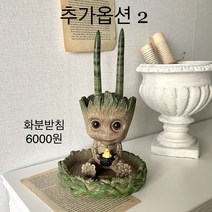 키우기쉬운 실내공기정화식물 집들이 개업 식물 화분, 화분받침