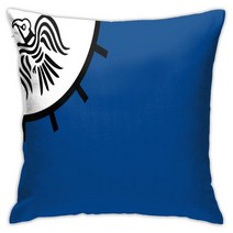 구스다운배개 오리털 호텔 방수 바이킹 레이븐 플라잉 장식 베개 케이스 폴리 에스터 스퀘어 쿠션 커버 사, 02 2_01 450*450 미리메터