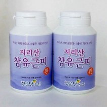 청운당농산 지리산 참 유근피환 2병 국산 느릅나무환, 150g