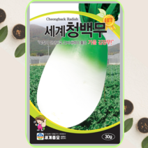 식물세계 세계 청백무 씨앗 30g 가을무 김장채소