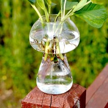 화병 Vase 오브제 집들이 선물 디퓨저병 라탄 미니 화병 버섯 모양의 유리 꽃병, 없음