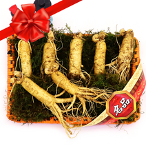 선물용 금산인삼 원수삼 특대 포장 1채 750g(6-7뿌리) 4-6년근, 이바지포장, 비세척