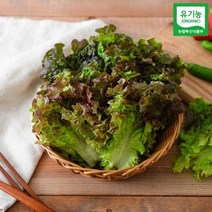 자연맛남 [자연맛남] 유기농 적상추 1kg, 1개