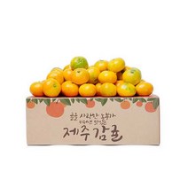 제주 감귤 맛좋은 제철과일, 1box, 9kg 중대과