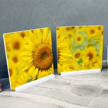 ts283-스탠드액자2P_해바라기동산03