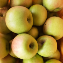 국산 시나노스위트사과 시나노골드 사과, 시나노스위트, 정품 3kg 10-15과