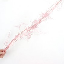 드라이플라워 보존된 아스파라거스 고사리 불멸의 꽃 꽃다발 DIY 재료 영원한 자연 홈 오피스 장식 5 가지, 03 pink_01 5 branches