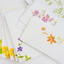 PGM*^몰늘봄 들꽃 돈봉투 6종 디자인 편지 부모님용 편지지 종이 님용 용봉투 상품권 심플 이편지 예쁜^^췤pgm, ^^옵션*^6.노랑어리연꽃
