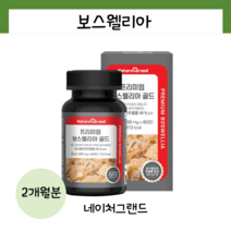 네이처그랜드 인도산 보스웰리아 보스웰릭산 보이스웰리아 보수엘리아 보스벨리아 60정, 1개, 60개