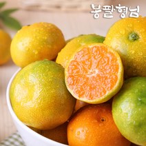 제주 하우스감귤 소과 60-80과 4kg 가정용