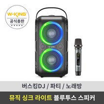 [파티 스피커] 더블유킹 WKING 블루투스스피커 Dyna T9 파티스피커/버스킹/강연/공연/노래방 스피커, T9 스피커
