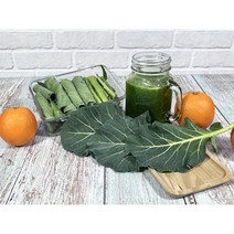 유기농 친환경 케일 쌈용/즙용 1kg/2kg/3kg/4kg, 케일 1kg(즙용)