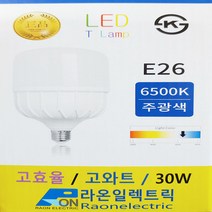라온일렉트릭 20w 30w 40w led T램프 크림램프 U볼램프 매장조명 led전구, 1개, 주광색 30w