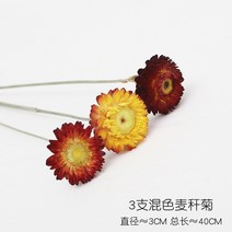 센픽 조화 버터플라이꽃 드라이플라워 설유화 루모라고사리 목화 미니 꽃다발 국화 33 동백꽃 버들강아지 자작나무가지, 3가지 색의 밀짚 국화