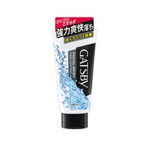 페이셜 워시 폼클렌징 스트롱클리어 남성세안제 GATSBY, 페이셜 워시 폼클렌징 스트롱클