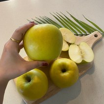 시나노 골드사과 스위트 홍로 경북 황금사과 5kg, 1개, 가정용 5kg(소과22~24개)