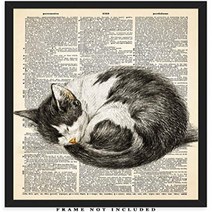 Sleeping Cat Dictionary Wall Art Print: Unique Room Decor for Boys Men Girls Women - (8x10) Unfra, 1