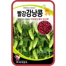 콩 옥수수 씨앗 강낭콩 작두콩 서리태 호랑이콩 종자 백태 땅콩 율무 녹두 팥 완두콩 씨, 10. 빨강강낭콩(비넝쿨) 30g