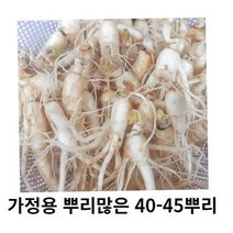인삼 못난이 인삼 실속가정용 40-45뿌리 파지 못난이 삼계탕 인삼 홍삼 못난이 인삼 홍삼용, 700g 40-50뿌리세척 (x) +못난이대추(30g)