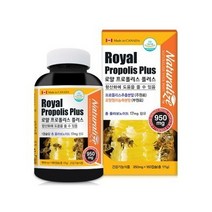 네추럴라이즈 로얄 프로폴리스 플러스 950mg x 180캡슐, 상세페이지 참조, 상세페이지 참조