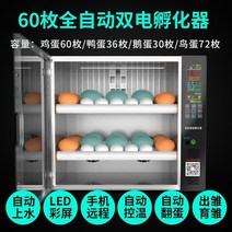 부화기 병아리부화 계란부화기 달걀 자동 인공 가정용 치킨 인큐베이터 소형 지능형 인큐베이터 미니 상자 인큐베이터 기계, 휴대폰 리모컨 60색 화면 듀얼 배터리