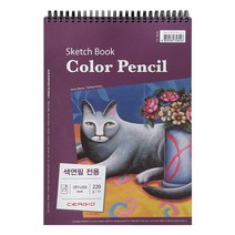 색연필전용 스케치북 스프링 상철 220G A4 신한커머스, 25매