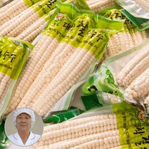 2023년 괴산에서 가장빠른수확 햇괴산대학 찰옥수수생물/냉동2가지, 냉동특품30개_햇거