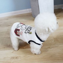 토이푸들 옷 강아지 환절기 마실룩 비숑 스피츠, 스트라이프 탱크탑 옐로우