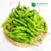 꽈리고추 300g