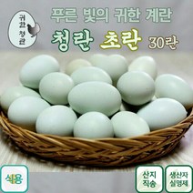 귀한 건강한 청란 초란 어린닭이 낳은 청계란 유정란, 30개