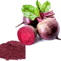 비트차 제주비트분말 레드비트분말 300g, 1개, 기본