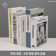 소품 연출 모형 중복없는 레트로 랜덤세트 빈티지 책, 현대 영문 - 6권 [랜덤 중복 없음]